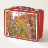 Oranje en gele Herfst Trees herfst Fotografie (Voorkant)