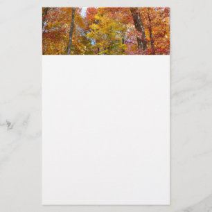 Oranje en gele Herfst Trees herfst Fotografie Briefpapier