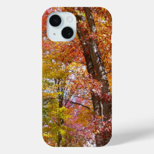 Oranje en Gele Herfstbomen Herfst Fotografie