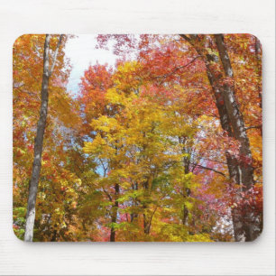 Oranje en Gele Herfstbomen Herfst Fotografie Muismat