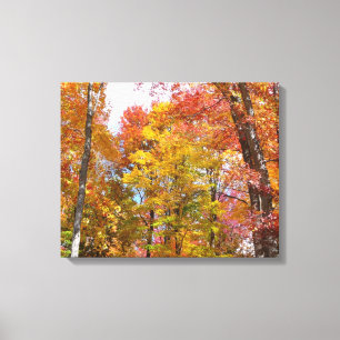 Oranje en gele herfstbomen Herfstfotografie Canvas Afdruk