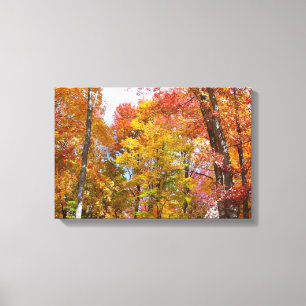 Oranje en gele herfstbomen Herfstfotografie Canvas Afdruk