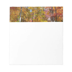Oranje en gele herfstbomen Herfstfotografie Notitieblok
