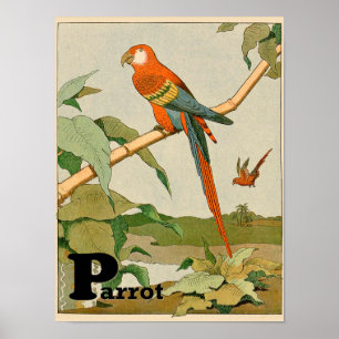 Oranje en Gele Papegaai in het Oerwoud Poster