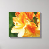 Oranje en gele Rhododendron Flower Canvas Afdruk (Voorkant)
