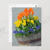 Oranje en gele tulpen afdrukbriefkaart briefkaart (Voorkant / Achterkant)