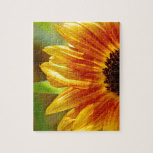 Oranje en gele zonnebloesems legpuzzel