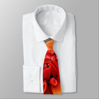 Oranje en grijs stropdas