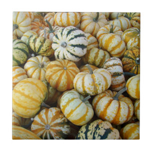 Oranje en groene herfst oogst kalebassen tegeltje