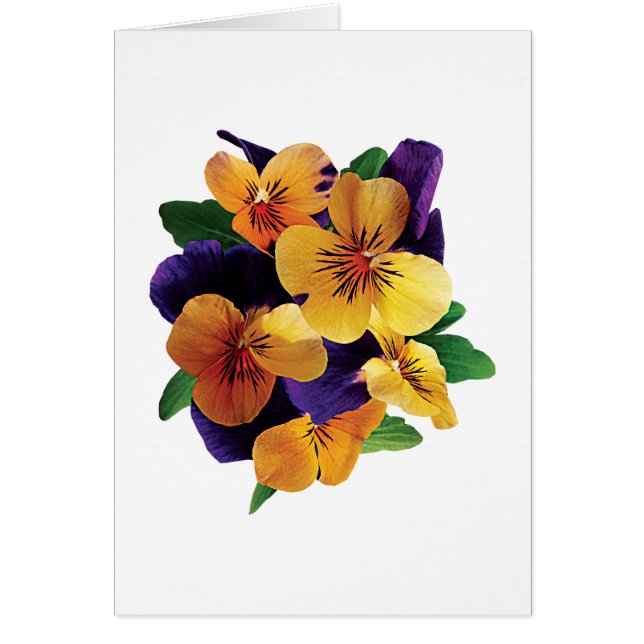 Oranje en Paarse Pansies (Voorkant)