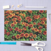 Oranje en rode bloemen tissuepapier (Craft)