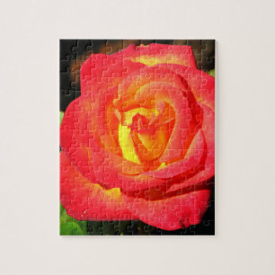 Oranje en rode roze dicht bij elkaar legpuzzel
