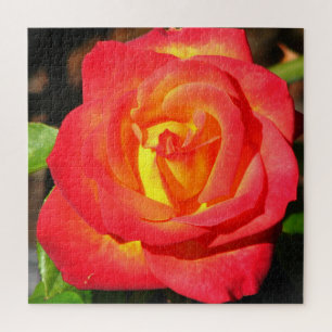 Oranje en rode roze dicht bij elkaar legpuzzel