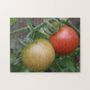 Oranje en rode tomaten Puzzle Legpuzzel