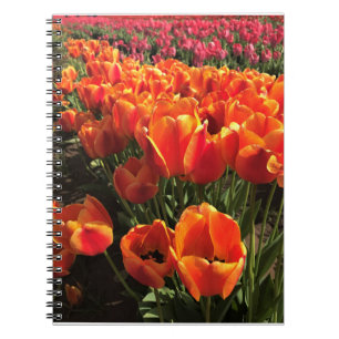 Oranje en rode tulpen notitieboek