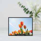 Oranje en rode tulpen van onderaan briefkaart (Staand voorkant)