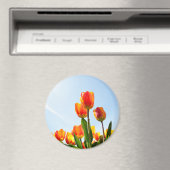 Oranje en rode tulpen van onderaan magneet (Insitu (Vaatwasser))