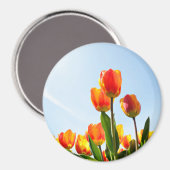 Oranje en rode tulpen van onderaan magneet (Voorkant / Achterkant)