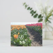 Oranje en rood Tulps Field DIY Briefkaart (Staand voorkant)