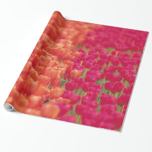 Oranje en roze tulpen cadeaupapier