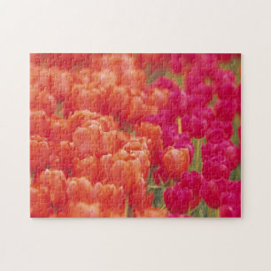 Oranje en roze tulpen legpuzzel