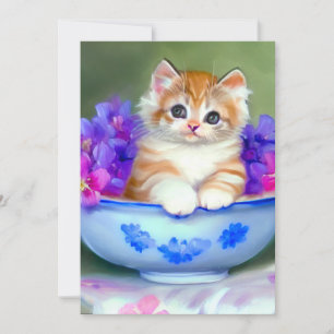 Oranje en White Kitten Illustratie Aankondiging