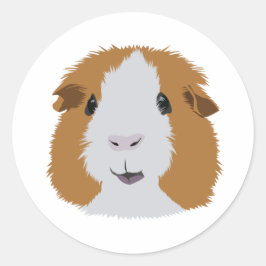 Oranje en wit cavia's ronde sticker