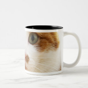 oranje en witte kat die naar camera kijkt tweekleurige koffiemok