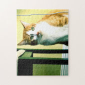 Oranje en witte kat met stoel legpuzzel (Verticaal)