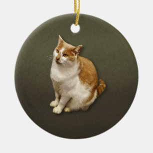 Oranje en witte kortademige kat keramisch ornament