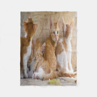 Oranje en witte tabby poesje/Voeg een foto van uw  Fleece Deken