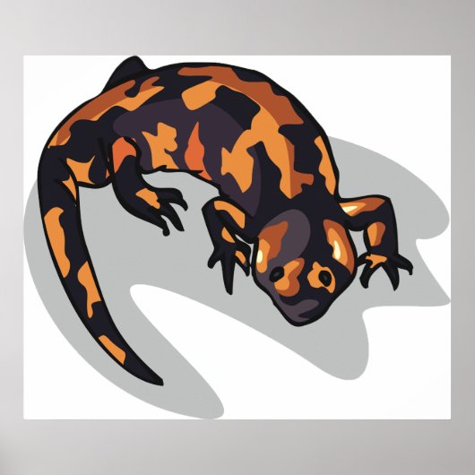 Oranje en zwarte hagedis poster (Voorkant)