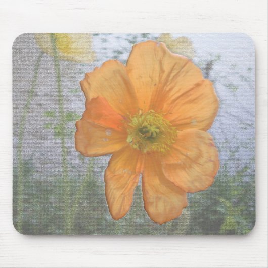 Oranje essentie muismat (Voorkant)