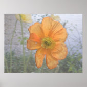 Oranje essentie poster (Voorkant)