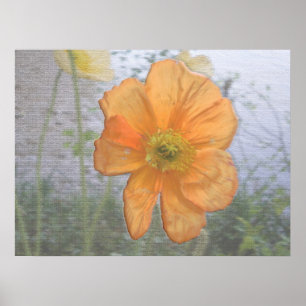 Oranje essentie poster