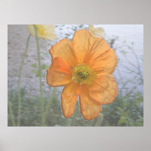 Oranje essentie poster (Voorkant)