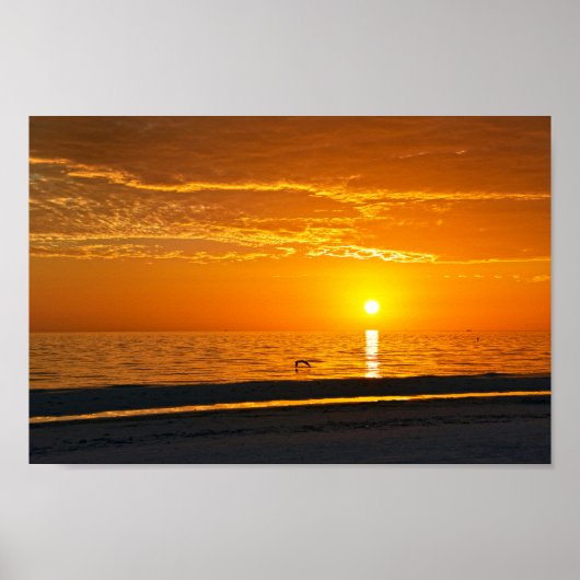 Oranje Florida Sunset Poster (Voorkant)