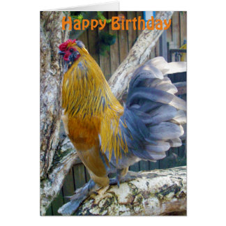 Oranje fluffy Proud Rooster, Birthday Kaart