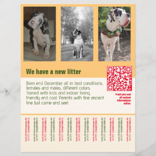 oranje flyer voor de verkoop van puppy's met QR-co
