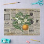 Oranje fruitteelt Ads Ephemera Tissuepapier (Craft)