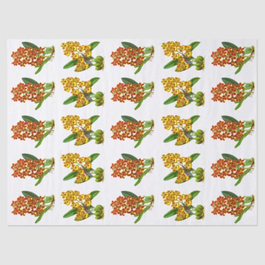 Oranje Geel Exotisch Orchidevloer Tissuepapier (Voorkant)