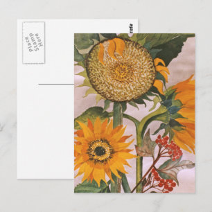 Oranje geel zaaien zonnebloem kunst briefkaart