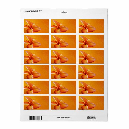 Oranje gele plameerlaag Oranje achtergrond Etiket (Full Sheet)