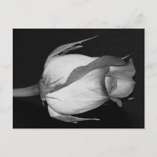 Oranje-gele Rose Briefkaart (Voorkant)