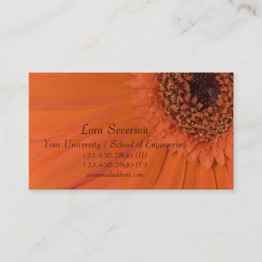 Oranje Gerber Daisy Afstuderen Contactkaartje (Voorkant)