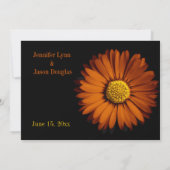 Oranje Gerber Daisy Black Wedding Invitations Kaart (Achterkant)