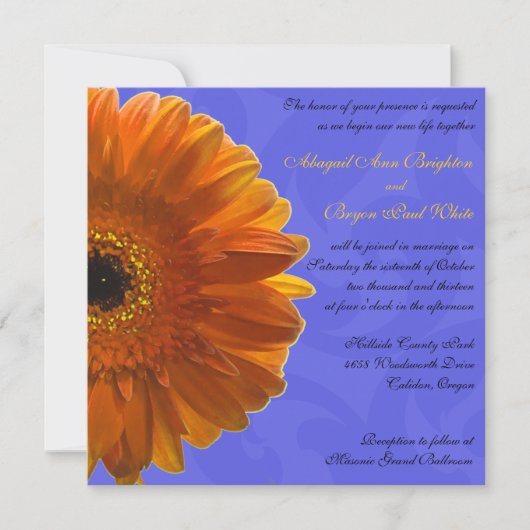Oranje Gerber Daisy Blue Wedding Uitnodiging (Voorkant)