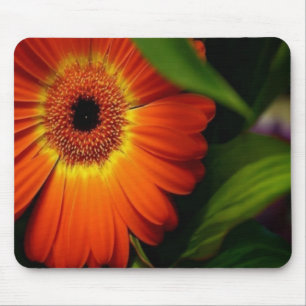 Oranje Gerber Daisy Muismat