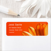 Oranje Gerbera-bloem helder Etiket (Insitu)