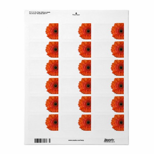 Oranje Gerbera Daisy Bruiloft Blank Adresetiketten Etiket (Full Sheet)